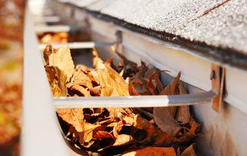 Drummond gutter cleaning companies