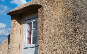 Drummond thatch roof disadvantages
